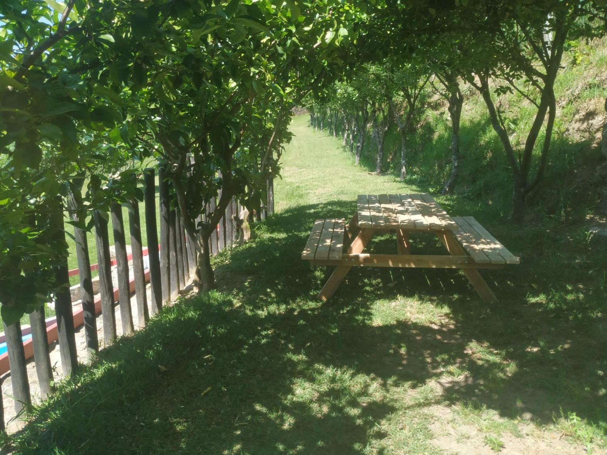 Quinta Dos Campos - 1 Homestay *