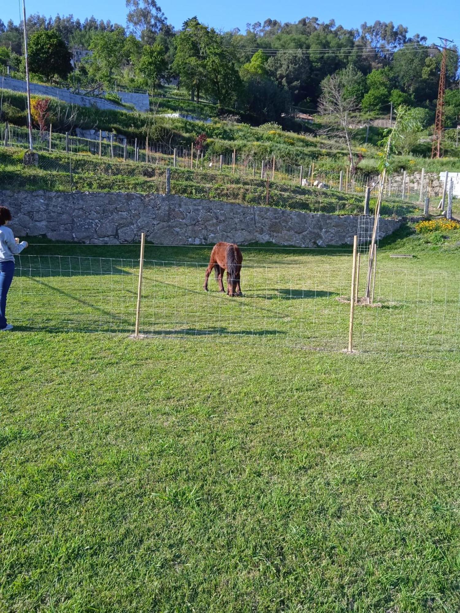 Quinta Dos Campos - 1 Homestay