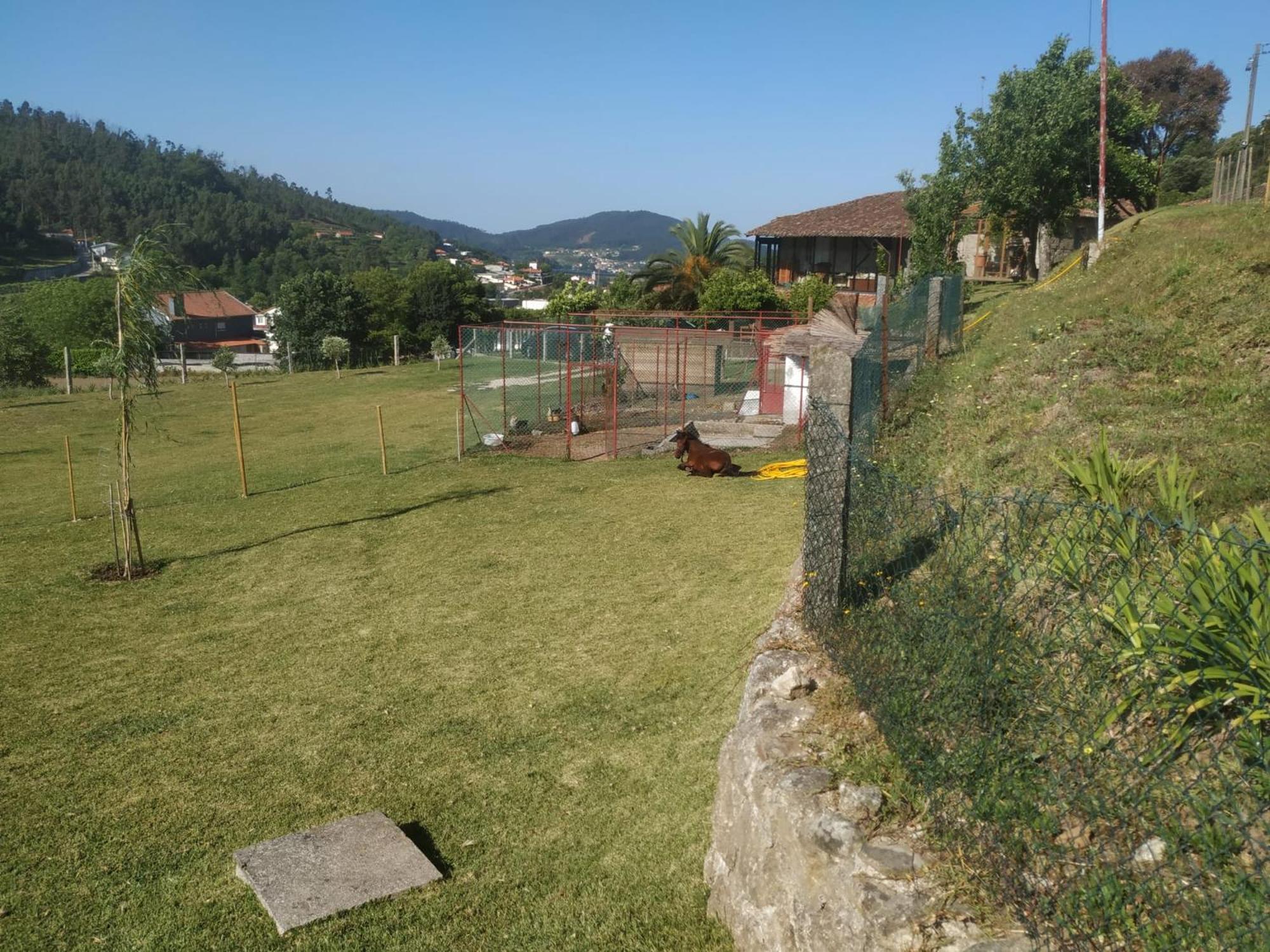 Quinta Dos Campos - 1 Homestay